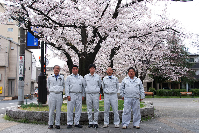 写真:満開の桜の下で