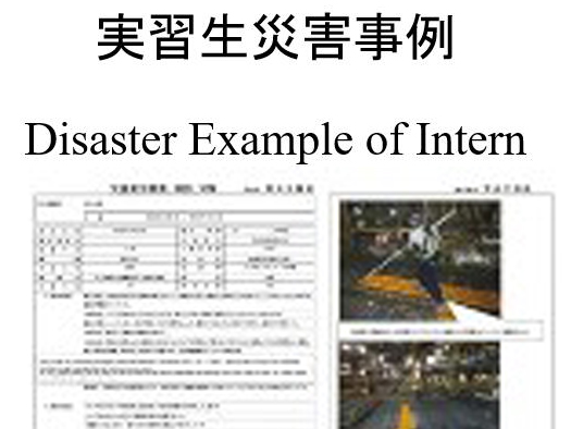 皇大神宮御料御馬(御神馬)